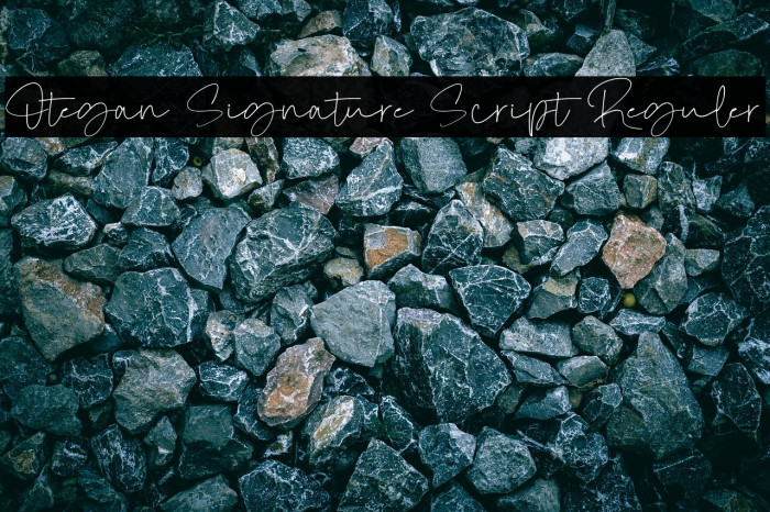 Otegan Signature Script Reguler Example 1