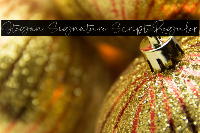 Otegan Signature Script Reguler Example 2