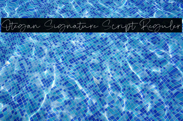 Otegan Signature Script Reguler Example 3