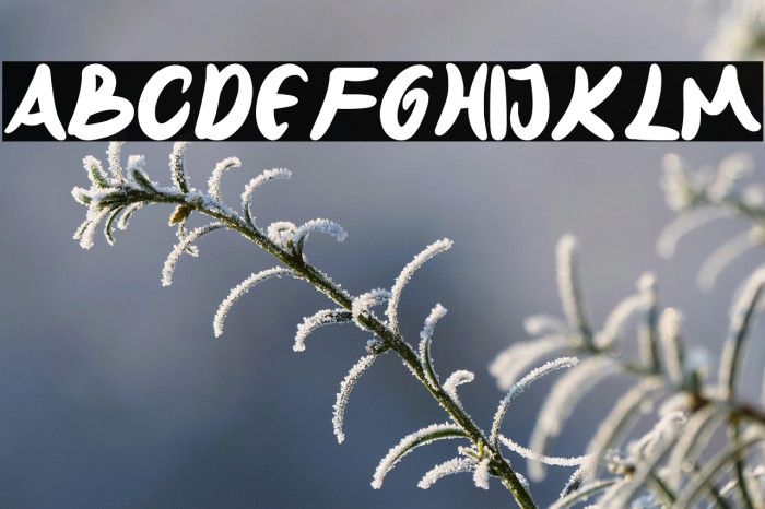 Other Shoot Example 3