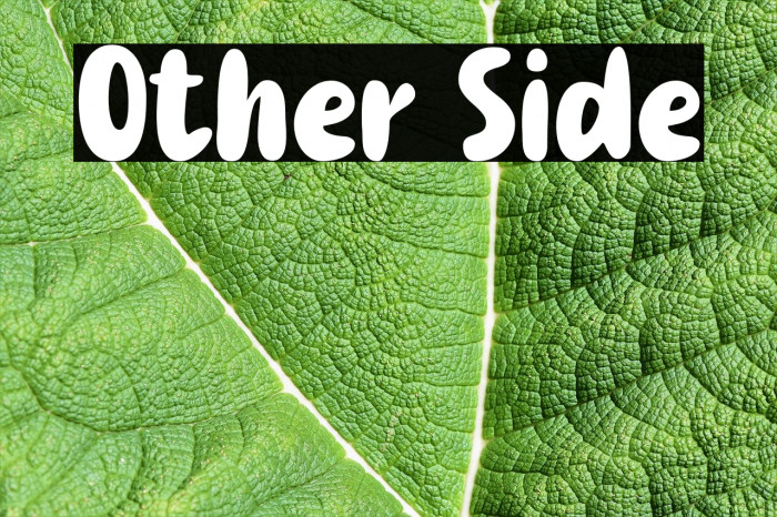 Other Side Example 1