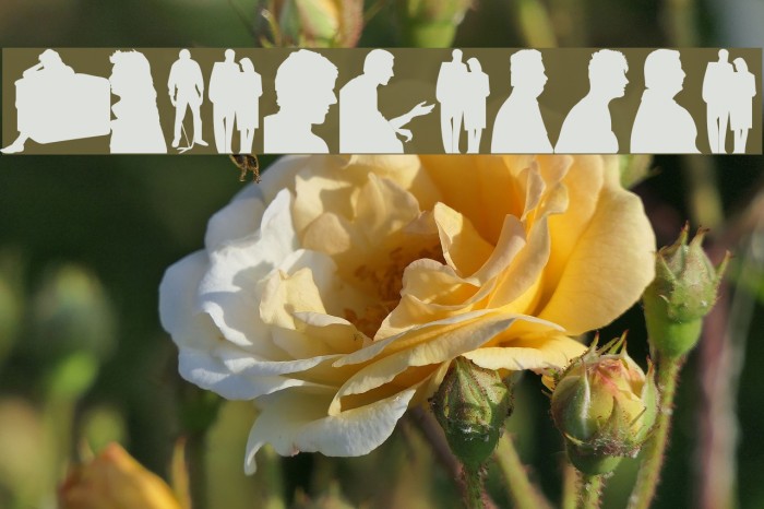 OtherPeople Example 3