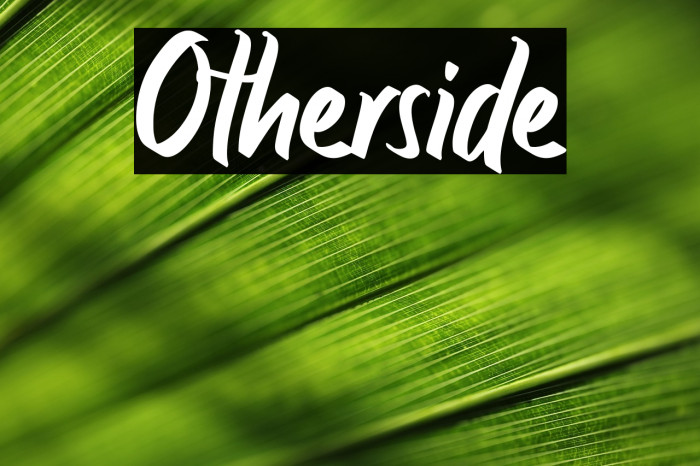 Otherside Example 2