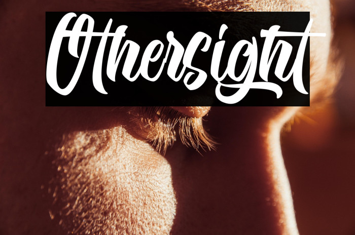 Othersight Example 1