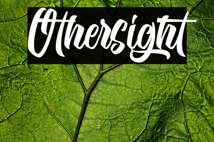 Othersight Example 3