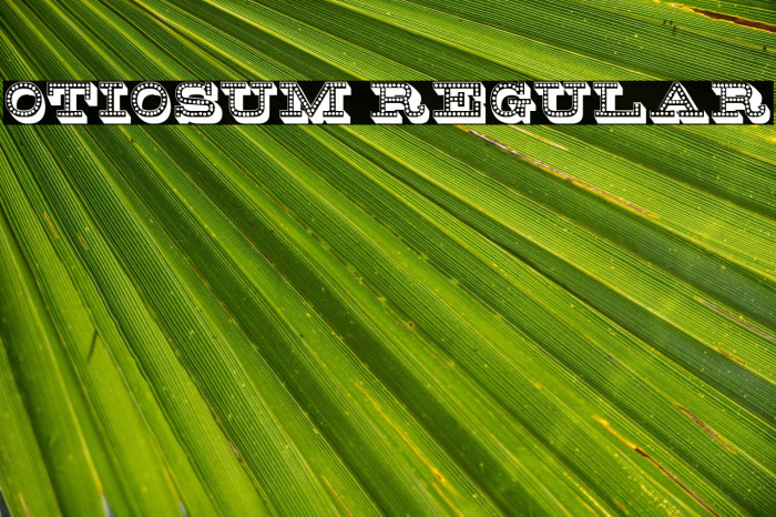 Otiosum Regular Example 2