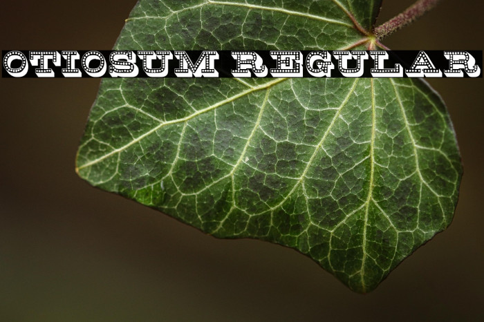 Otiosum Regular Example 3