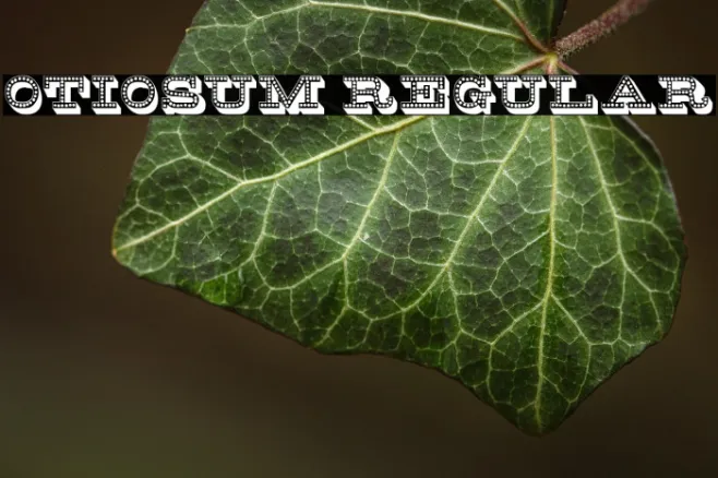 Otiosum Regular Example 3