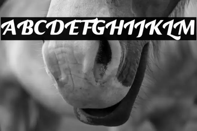 Otista Font examples