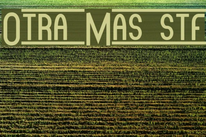 Otra Mas stf Example 3