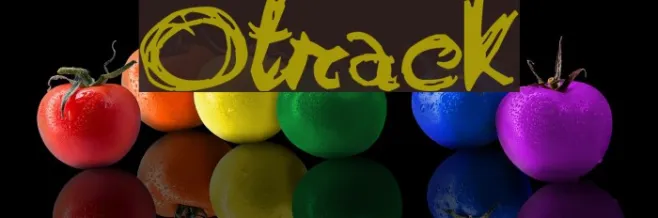 Otrack Example 1