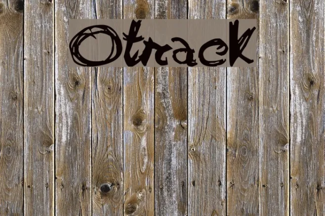 Otrack Example 2