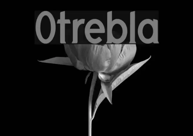 Otrebla Font examples