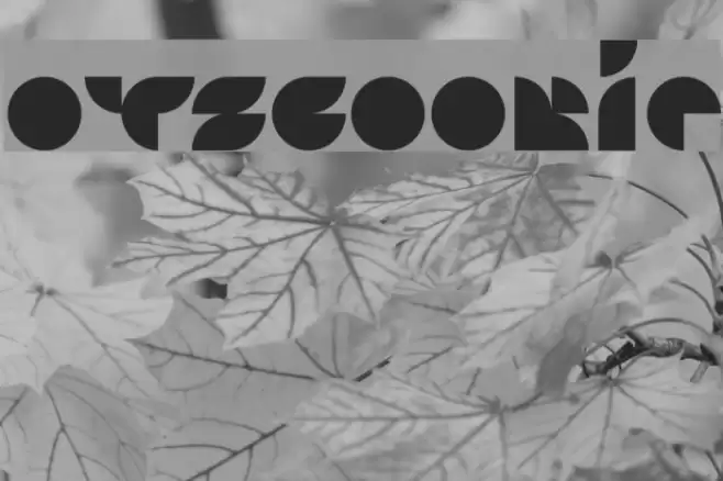 Otscookie Font examples