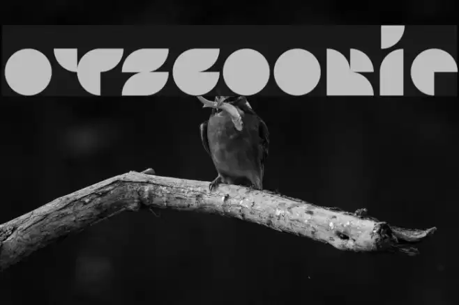 Otscookie Font examples