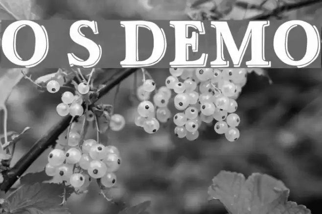 Ottanio Shaded DEMO Font examples