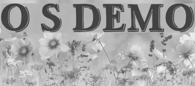 Ottanio Shaded DEMO Font examples