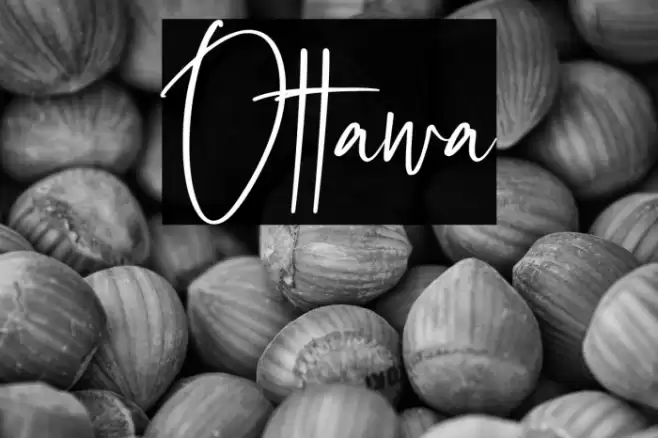 Ottawa Font examples