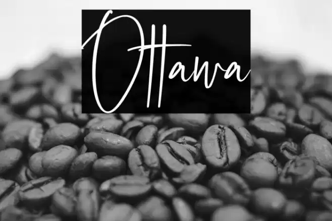 Ottawa Font examples