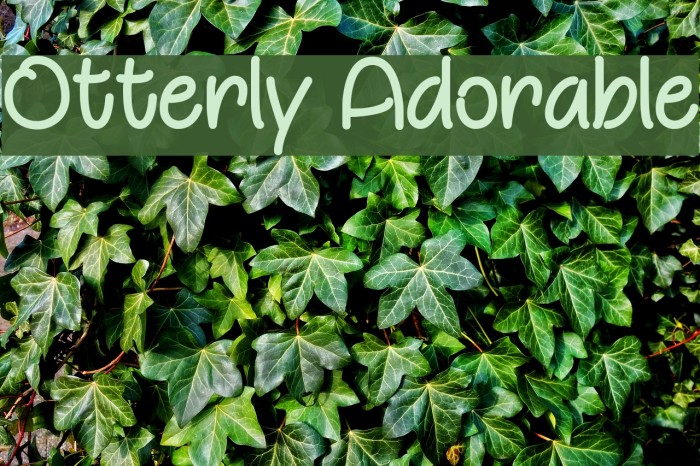 Otterly Adorable Font examples