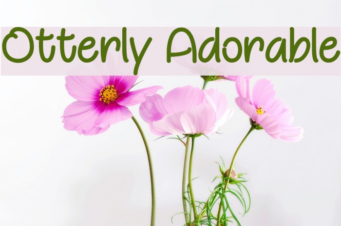 Otterly Adorable Font examples