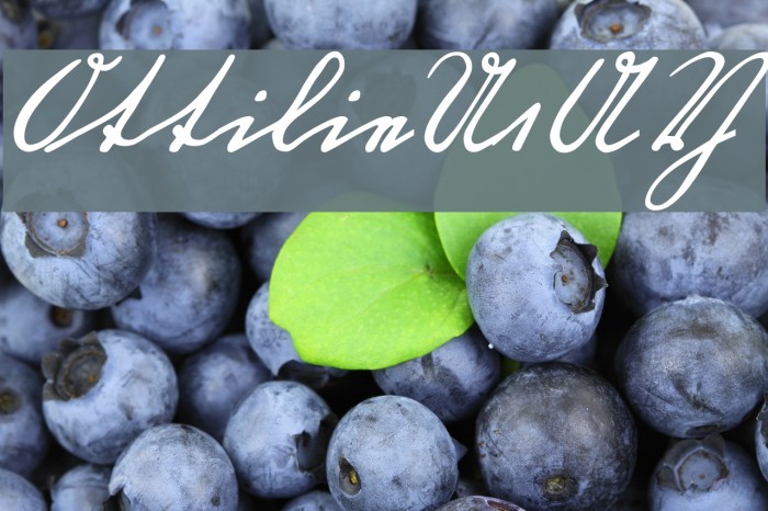 OttilieU1AY Example 2