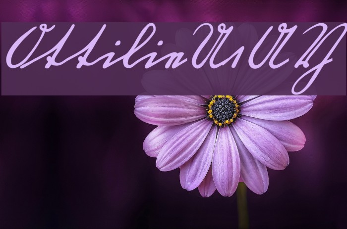 OttilieU1AY Example 3