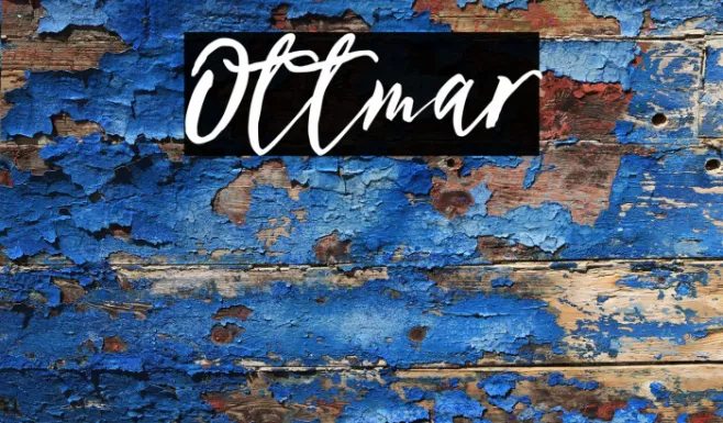 Ottmar Example 1