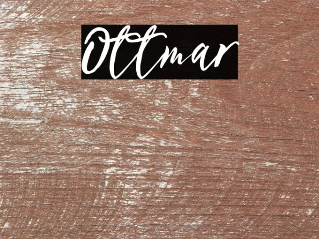 Ottmar Example 2