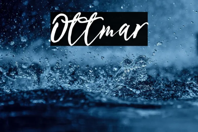 Ottmar Example 3
