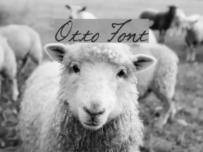 Otto Font examples