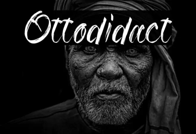 Ottodidact Font examples