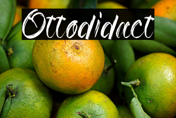 Ottodidact Example 2