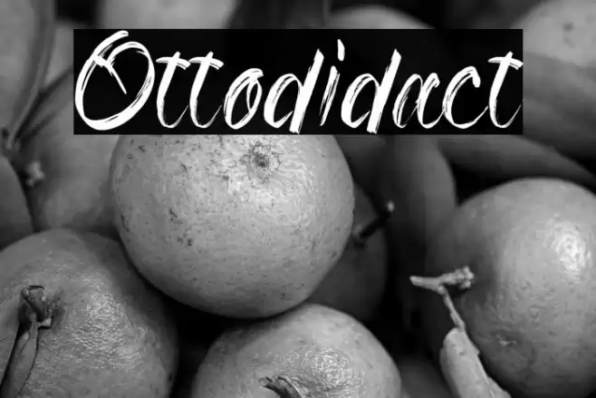 Ottodidact Font examples