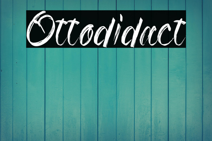 Ottodidact Example 3