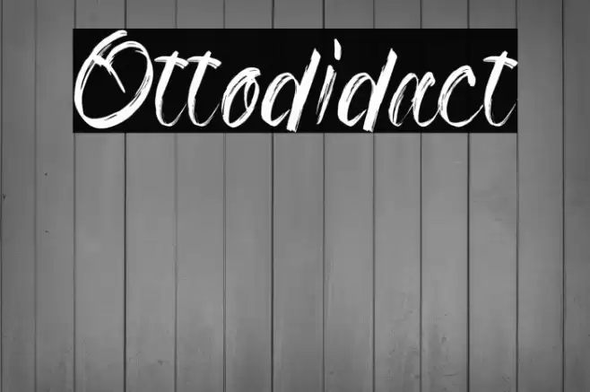 Ottodidact Font examples