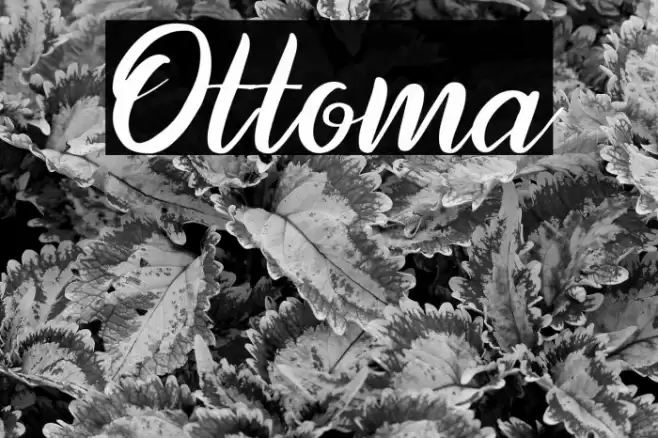 Ottoma Font examples