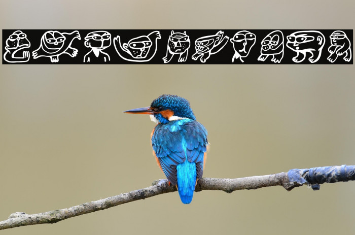 Otu Regular Example 3