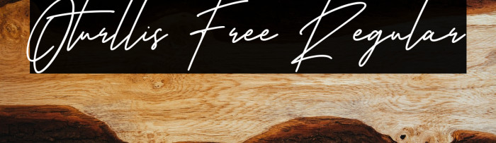 Oturllis Free Regular Example 1