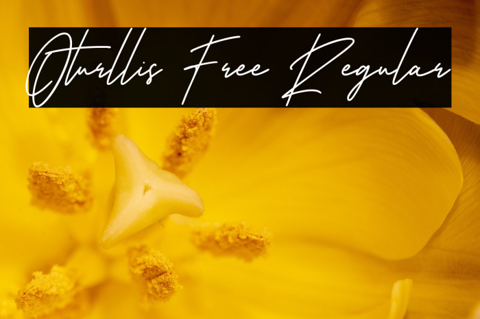 Oturllis Free Regular Example 3