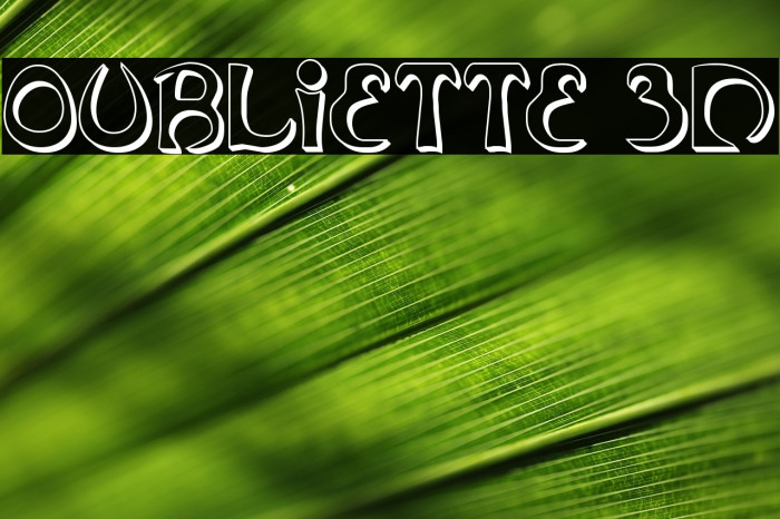 Oubliette 3D Example 3