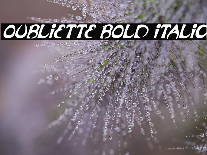 Oubliette Bold Italic Example 3