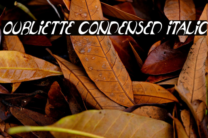 Oubliette Condensed Italic Example 1
