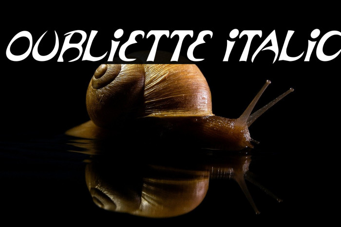 Oubliette Italic Example 1