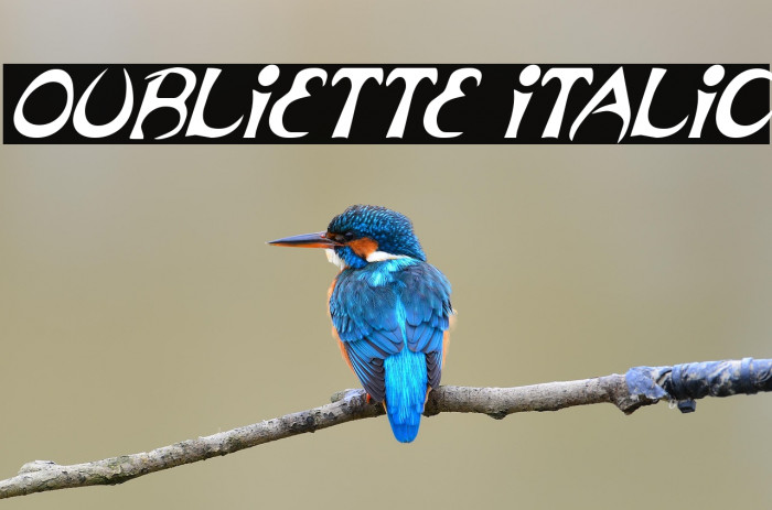 Oubliette Italic Example 2