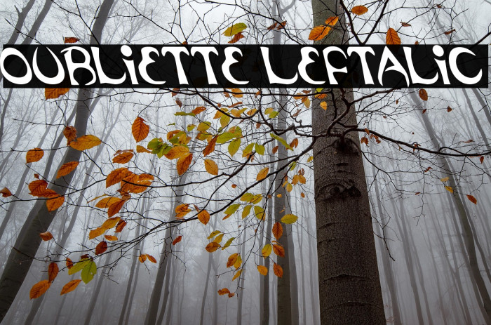 Oubliette Leftalic Example 3