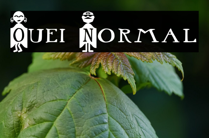 Ouei Normal Example 3