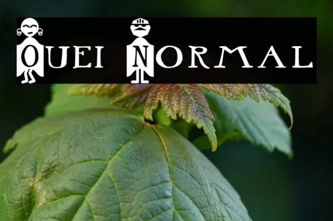 Ouei Normal Example 3