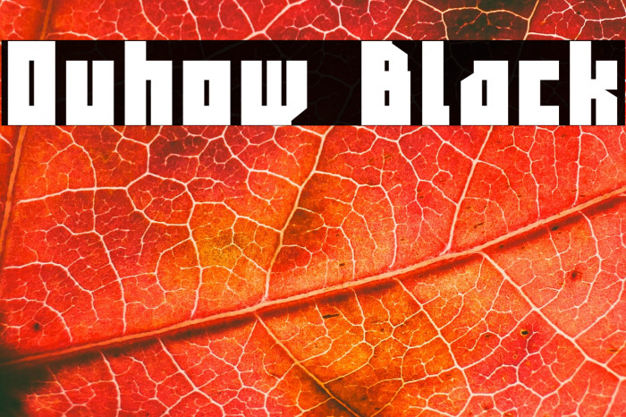 Ouhow Black Example 1