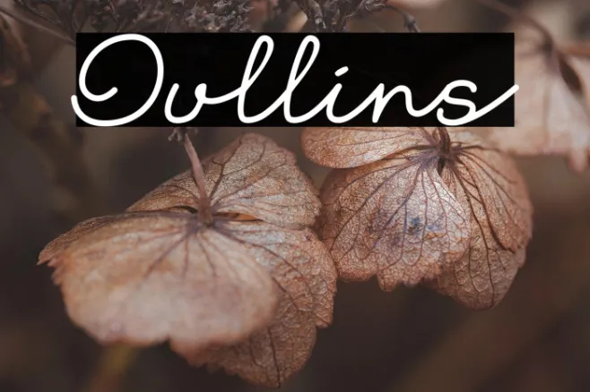 Oullins Example 3